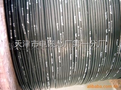 HYA53通信电缆销售-天津市电缆总厂第一分厂