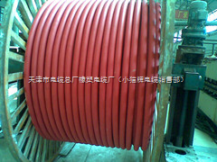 MYPTJ电缆(价格),MYPTJ(齐全的型号35平方价格-天津市电缆总厂橡塑电缆厂(小猫牌电缆销售部)